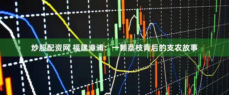 炒股配资网 福建漳浦：一颗荔枝背后的支农故事